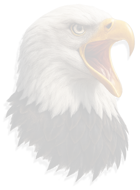 homeeagle